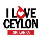 Vintage Posters of Sri Lanka Ceylon Online