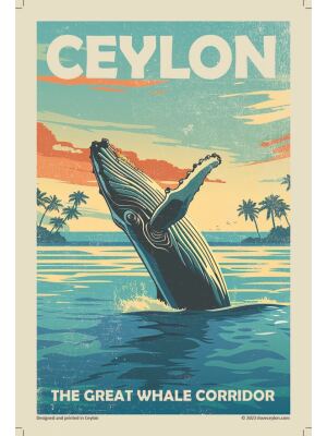 The Great Whale Corridor